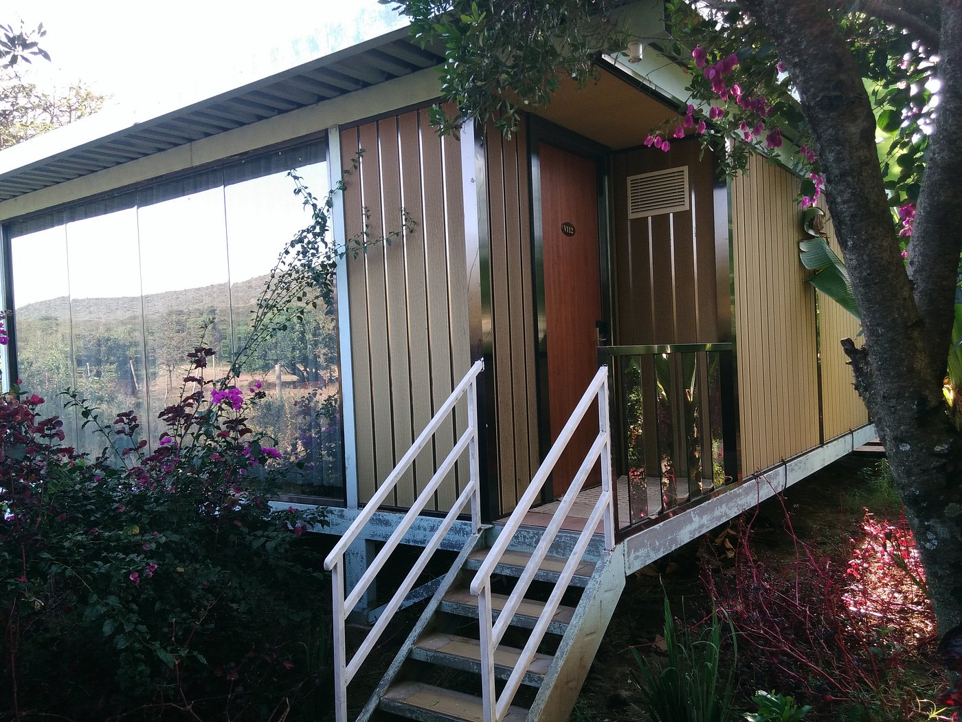 jambo mara lodge 001